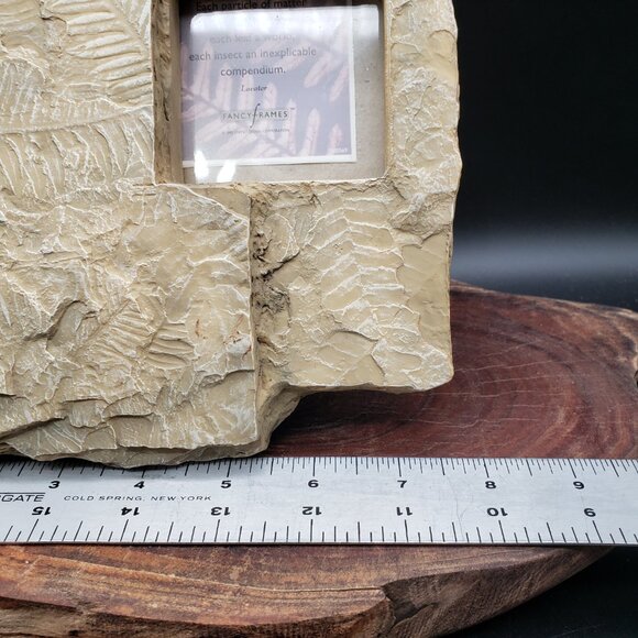 Vintage Fancy Frames Earth Echoes Fossil Leaf Photo Frame – Stone Look Nature De - Picture 7 of 8